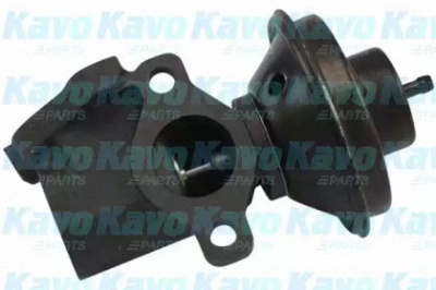 KAVO PARTS eeg7503 -  Клапан возврата ОГ